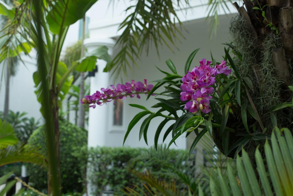 Marvel Holiday Boutique Villa Siem Reap Ngoại thất bức ảnh